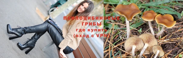 скорость Касимов
