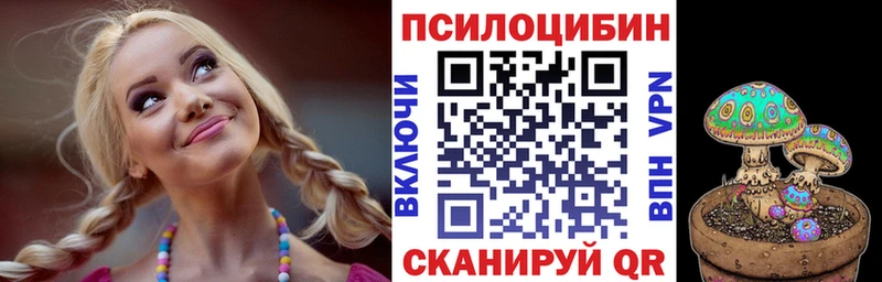 Купить где  Троицк  Галлюциногенные грибы Psilocybine cubensis 